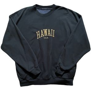 Brandy Melville Hawaii Erica sweatshirt